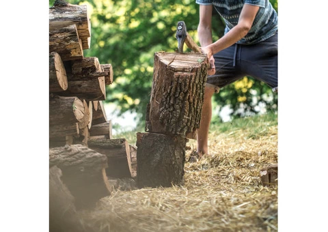 Tree Lopping Services in Sydney