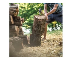 Tree Lopping Services in Sydney