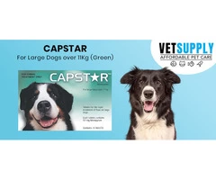 Buy Capstar For Large Dogs over 11Kg (Green) 6 Tablet Online
