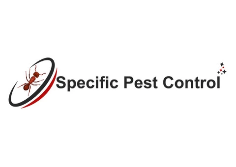 Pest control in Melbourne