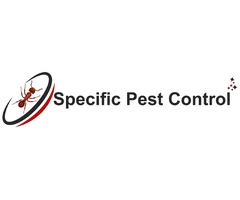 Pest control in Melbourne