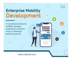 Hire CDN Software Solutions The Best Enterprise Mobile App Development Company
