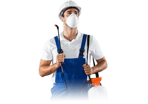 711 Pest Control Melbourne - 2/6