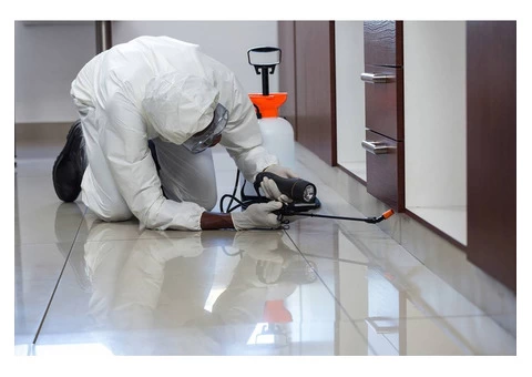 711 Pest Control Melbourne - 5/6