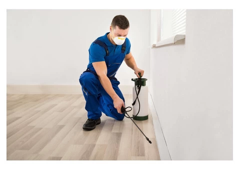 Pest control Melbourne solutions