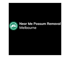 Near Me Possum Removal Melbourne | Quality Possum Removal Services
