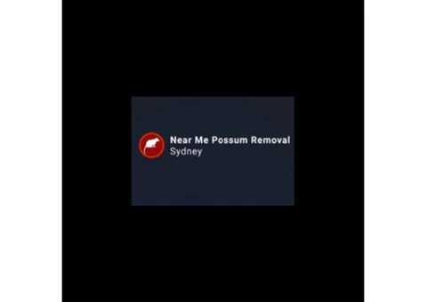 Possum Removal in Sydney  | Possum removal Sydney