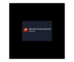 Possum Removal in Sydney  | Possum removal Sydney