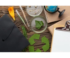 Sustainable Waste Management - Product Removal