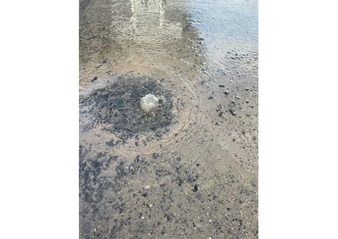 Melbourne’s Top Water Leak Detectors - 2/3