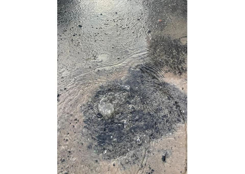 Melbourne’s Top Water Leak Detectors - 3/3