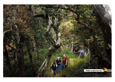 Experienced Travel Agents in Melbourne to Craft The Perfect Tour Package For You - 2/6