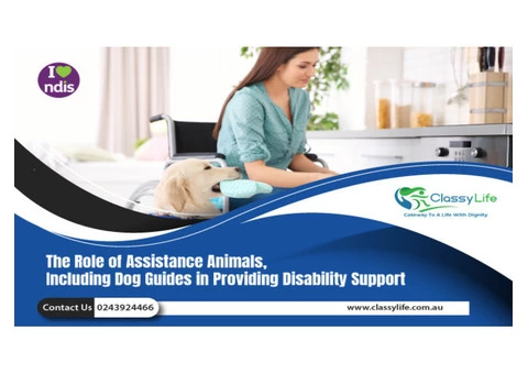 SIL Providers in Newcastle | SIL Providers in Central Coast