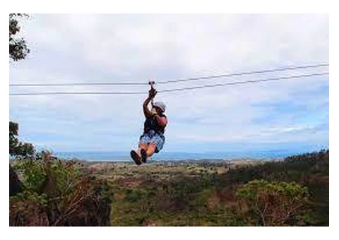 Experience the Ultimate Adventure At Zip Fiji Nadi