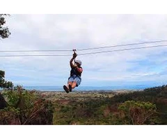 Experience the Ultimate Adventure At Zip Fiji Nadi