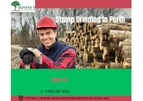 Stump Grinding Services in Perth: Choose Shaynes Tree Service for Expert Solution