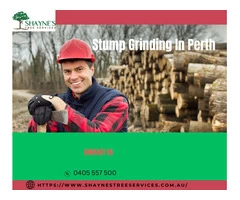Stump Grinding Services in Perth: Choose Shaynes Tree Service for Expert Solution