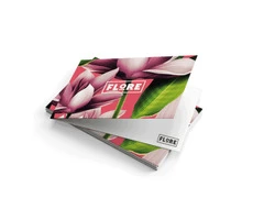 Need Business Cards ASAP? Get Same Day Printing from Zoozoo Printing!