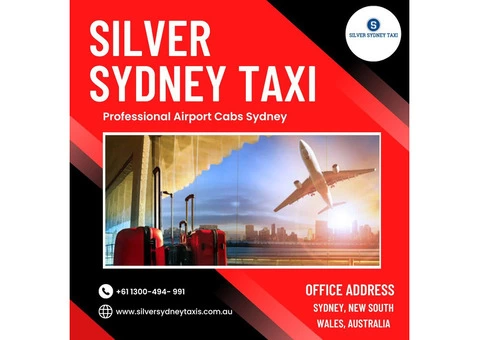 Professional Cabs Services For Airport