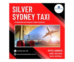 Professional Cabs Services For Airport
