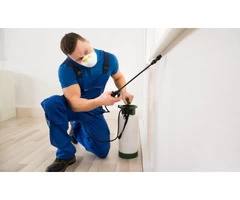 The Value Of Pest Control In Preventing Unwanted Visitors