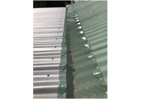 Rain Gutter Protection