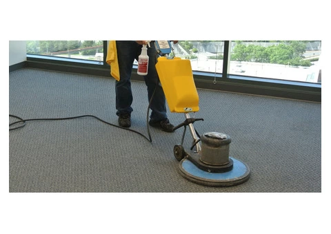 Professional Carpet And Leather Cleaning Services