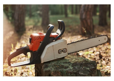 Looking for Emergency Tree Removal in Sydney