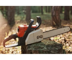 Looking for Emergency Tree Removal in Sydney