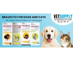 Bravecto: Dog & Cat Flea/tick Control | Free Shipping