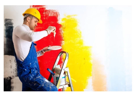 Exquisite Painting Services for a Stunning Transformation - 4/4