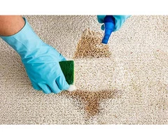 Tough stains? No problem. DeVere Restorations has you covered