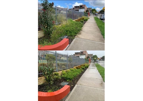 Landscaping Services Northern Beaches