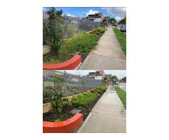 Landscaping Services Northern Beaches