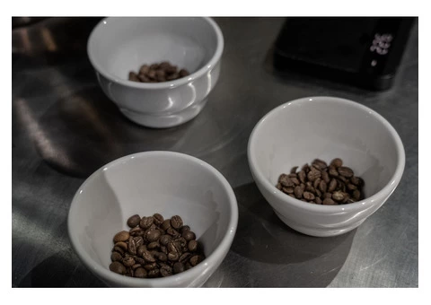 Motobean - 2/8