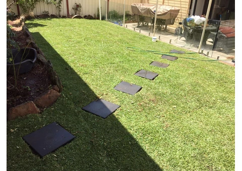 Tree Removal Singletons Mill