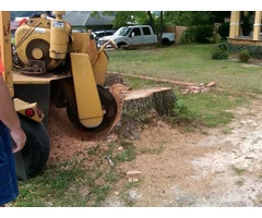 Stump Grinding Coogee