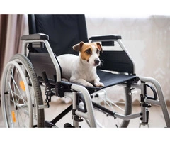 Accessibility Solutions In Australia with Extensive Knowledge