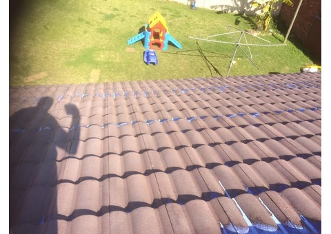 Roof Painting Sydney