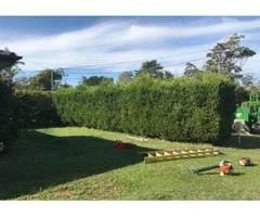 Retaining Walls Bilgola