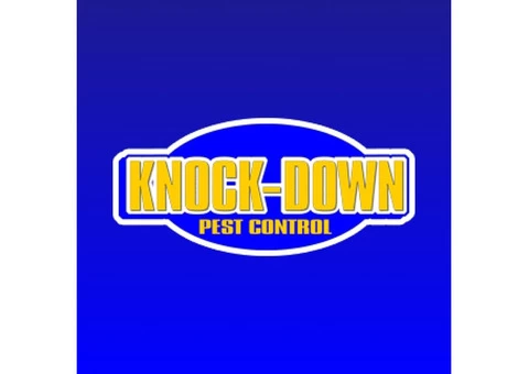 Best Pest Control Sydney