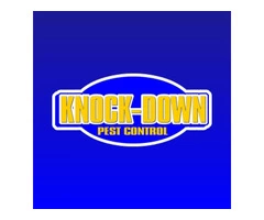 Best Pest Control Sydney