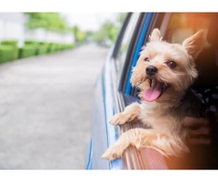 Sydney To Gold Coast Removalists