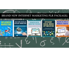 A Comprehensive Review of the PLR Package by Ali Anjamparuthi