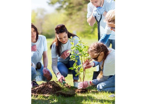 Innovative NDIS Community Participation Programs in Melbourne