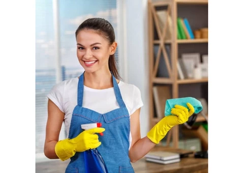 Top Steam Cleaner In Canberra