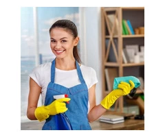 Top Steam Cleaner In Canberra