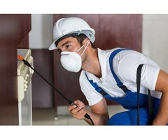 Exterminators Pest Control Buffalo NY | Pestcontrol.net