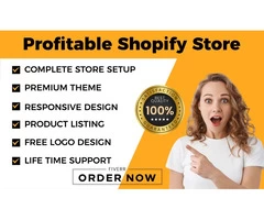 I will build shopify store dropshipping ecommerce store or shopify website