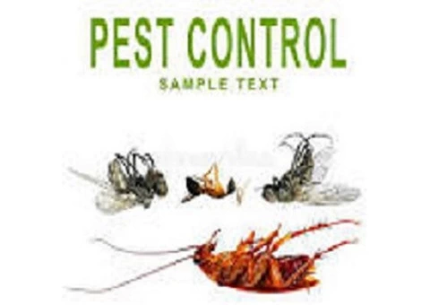 Flatline Pest Control - Pest Control Central Coast